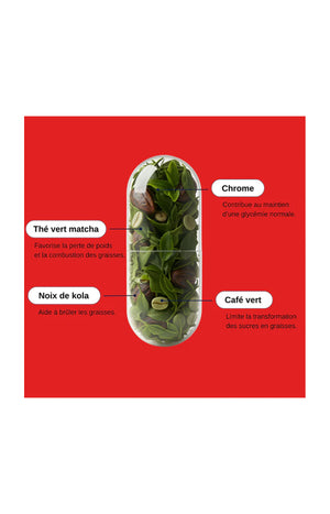 Compléments alimentaires - Brûleur de graisses - 1 mois