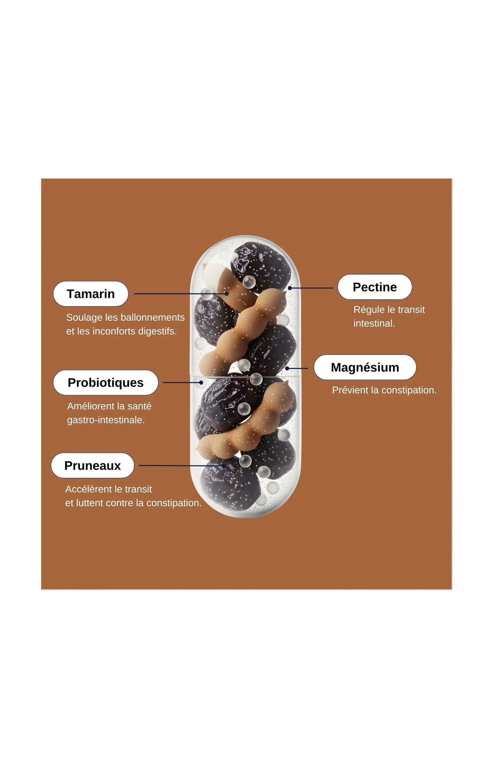 Probio transit - 15 à 30 jours