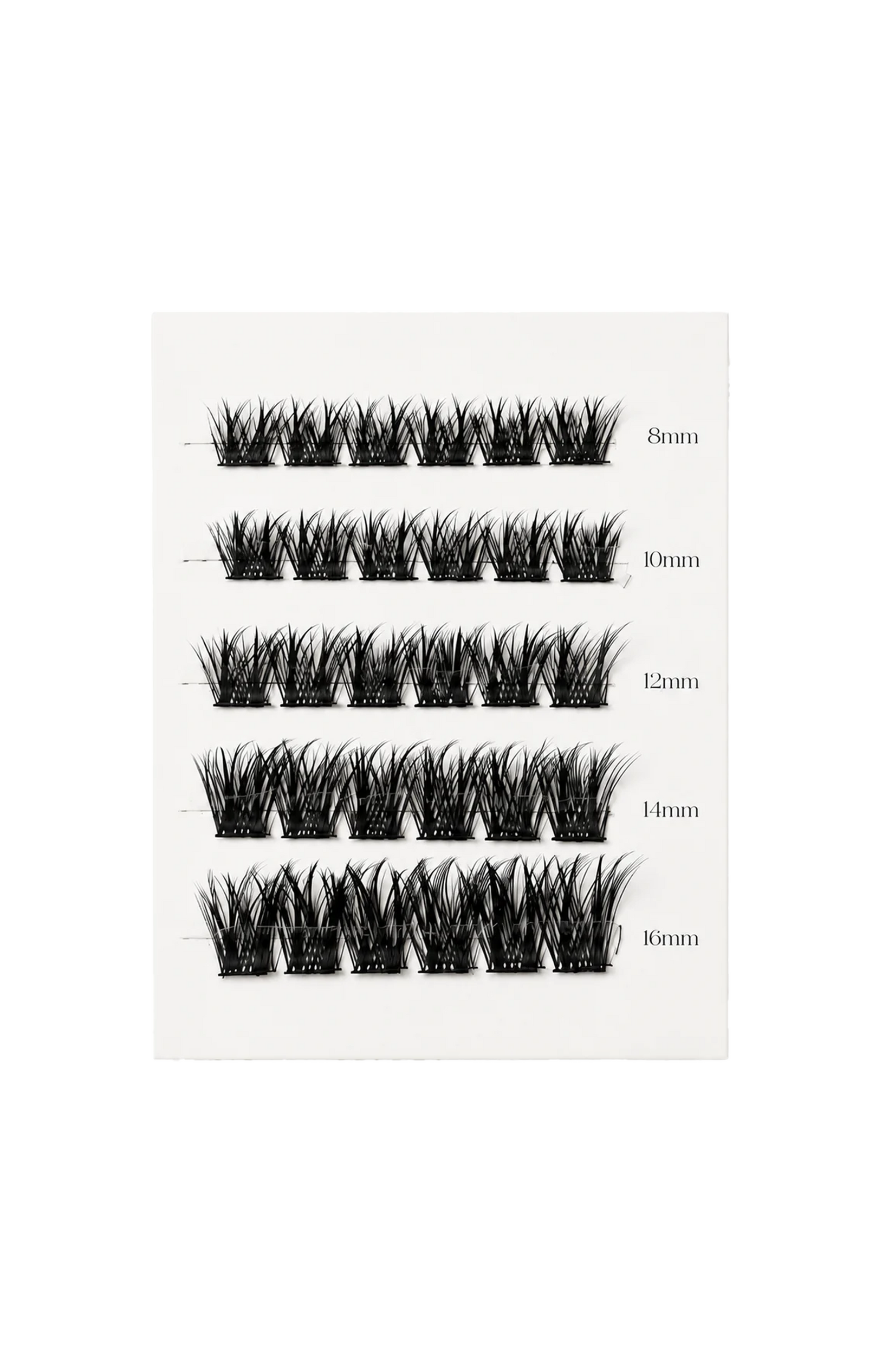 Lash menu