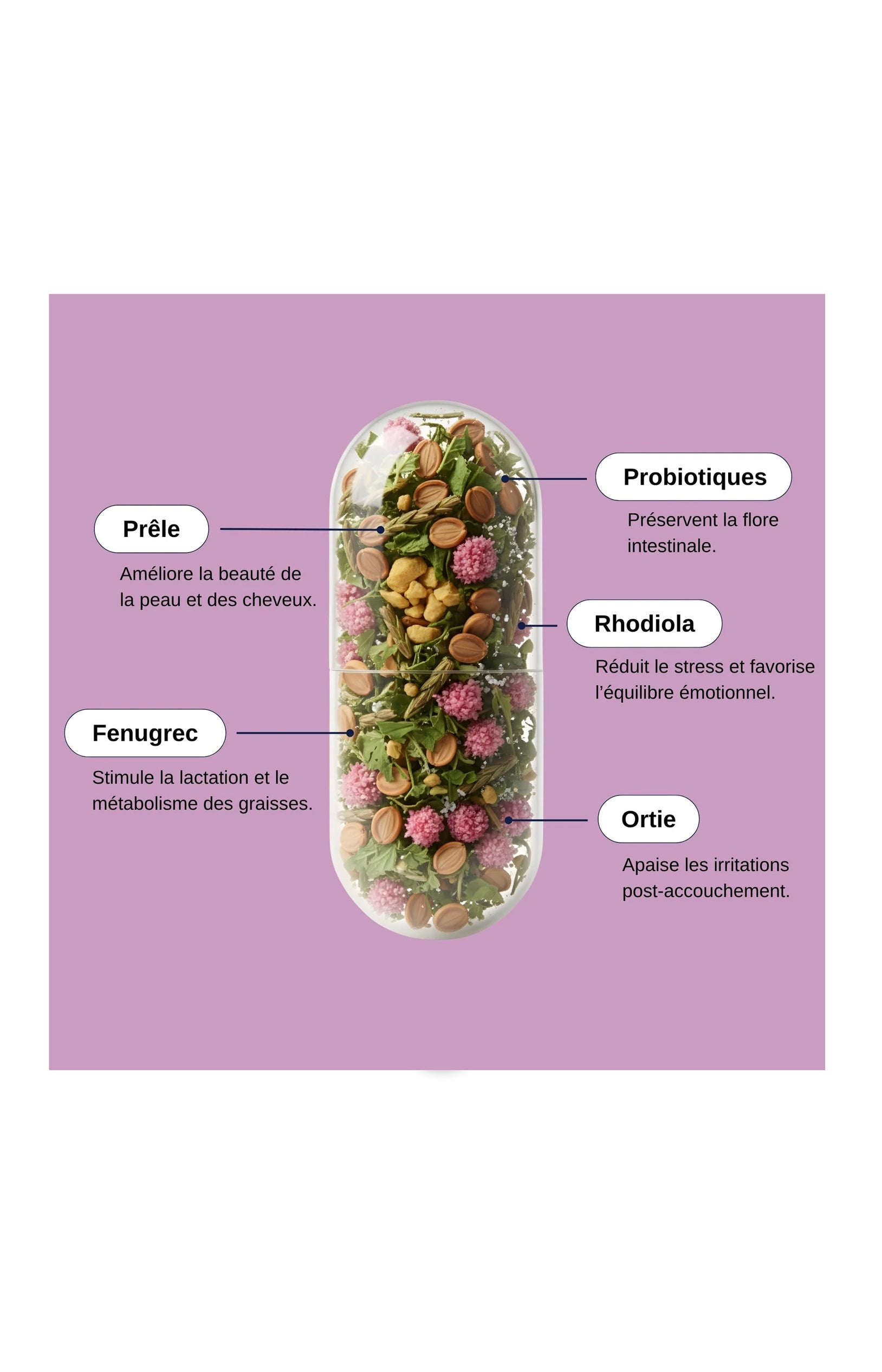 Probio post-partum - 1 mois