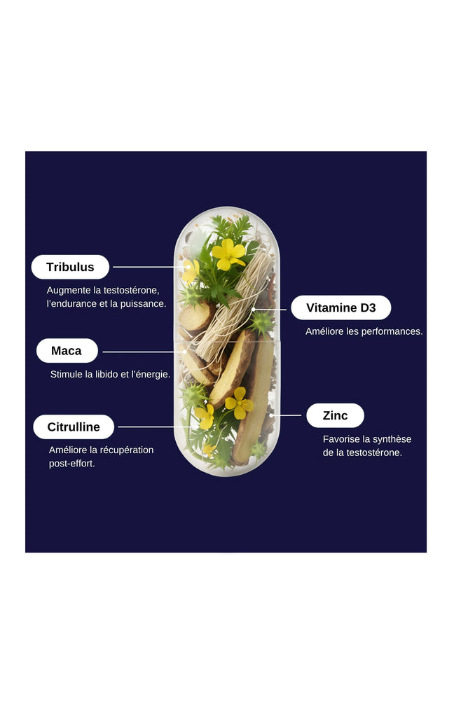 Compléments alimentaires - Testo Max - Homme - 1 mois