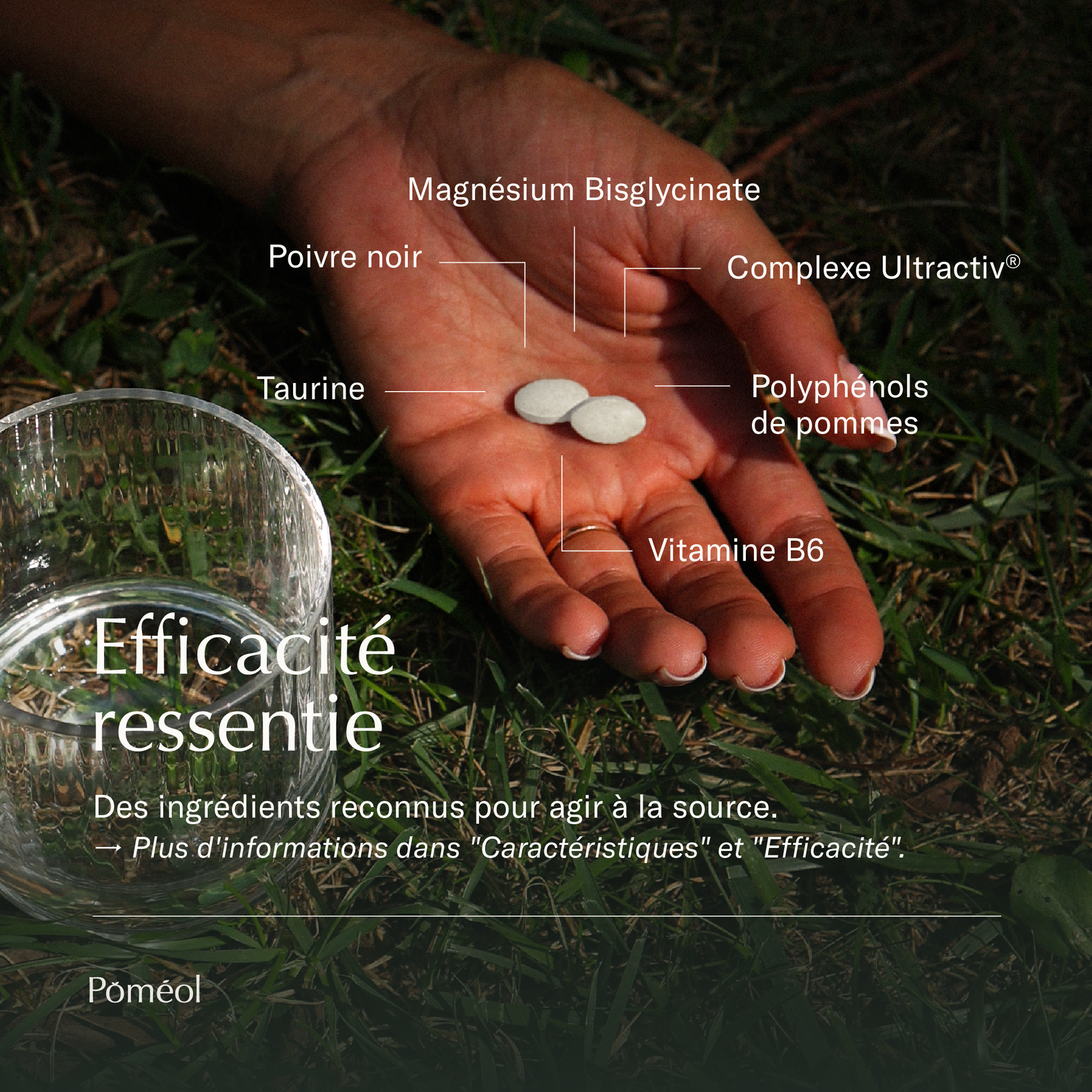 Complément alimentaire magnesium et vitamine B6
